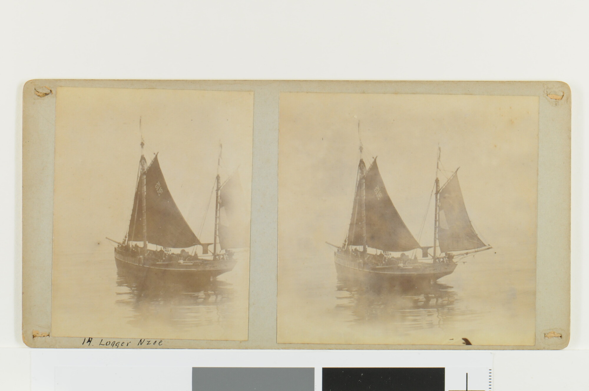 S.4834(01)09; Eén van een serie van drie stereofoto's van de loggers ('SCH 12' en 'SCH 245'); foto