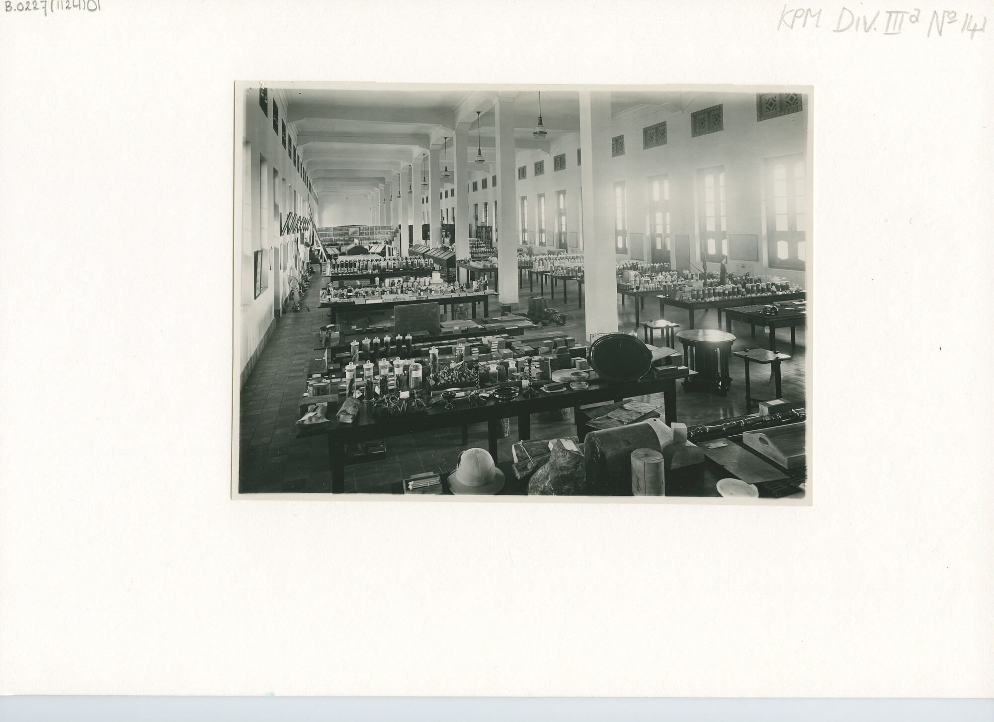 B.0227(1124)01; Interieurfoto's van het Museum Economische Botanie te Buitenzorg; foto