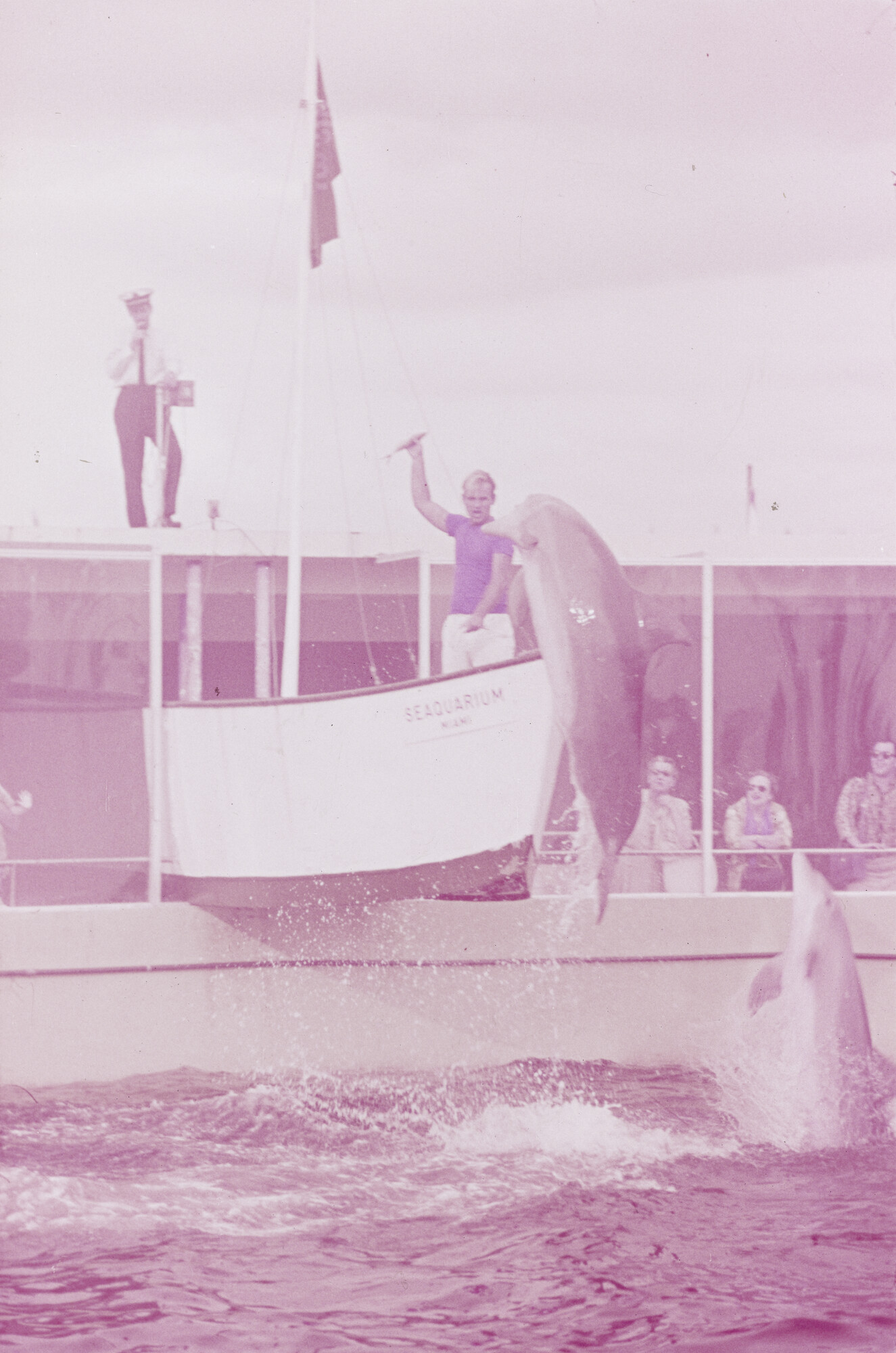 2015.0763; Dia van het dolfinarium in Sydney; diapositief