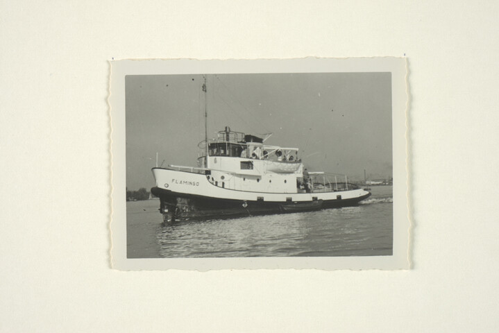 S.5219(12)0019; De haven- en zeesleepboot Flamingo; foto