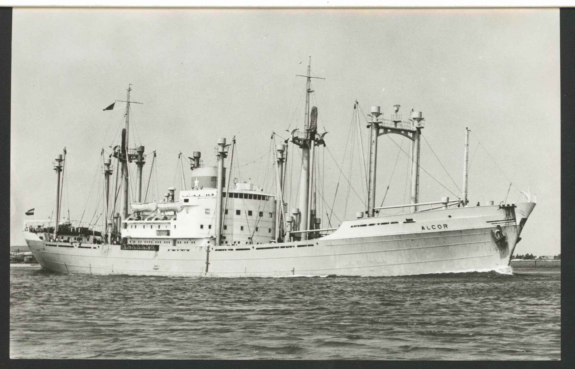 1993.6572; Het vrachtschip ms. 'Alcor' van Van Nievelt Goudriaan & Co.; prentbriefkaart