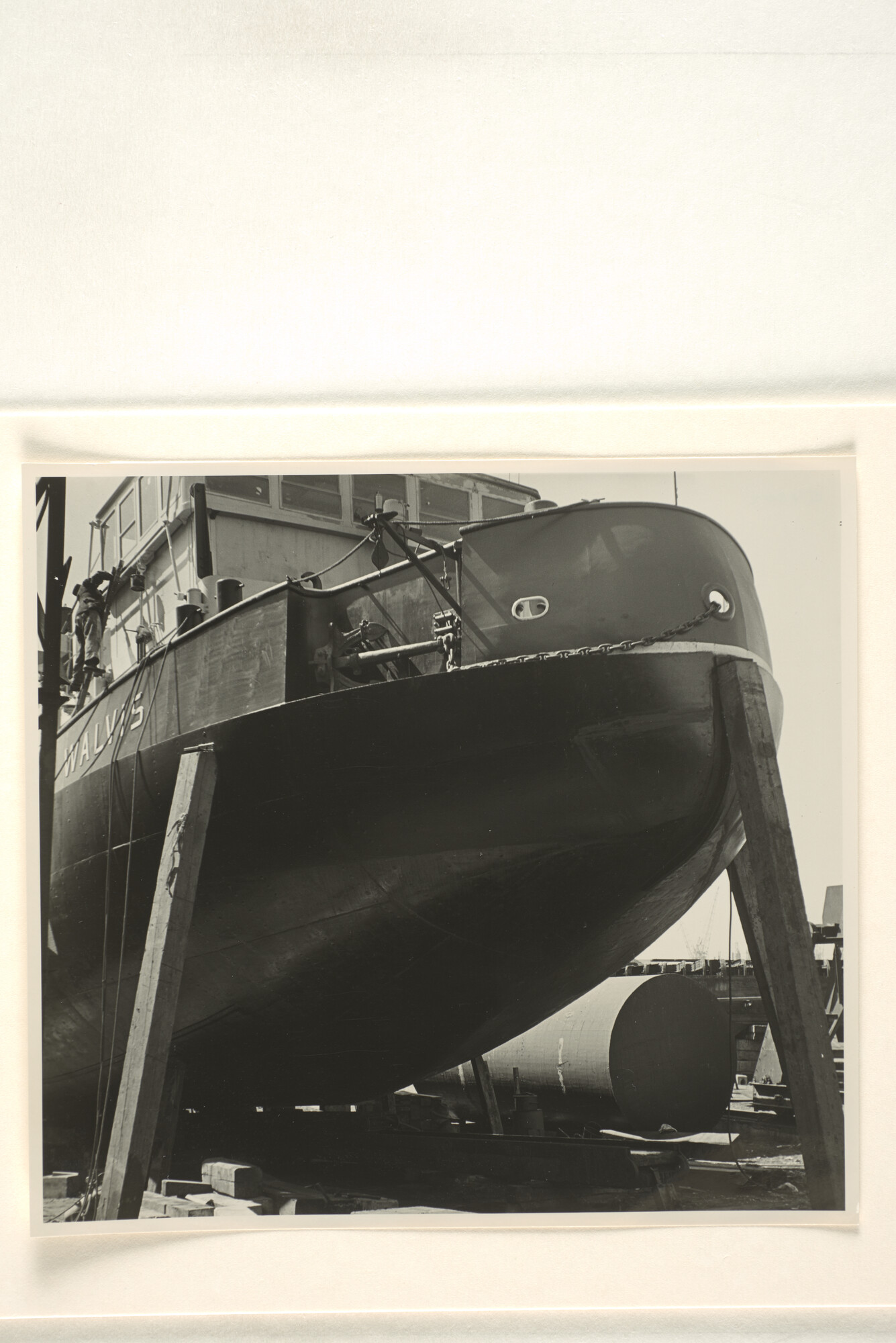 1996.3434; Foto's van de ijsbreker ms. 'Walvis' eigendom van Vereniging Algemene Scheepvaart Belangen te Amsterdam in aanbouw bij scheepswerf Verschure & Co; fotoreportage
