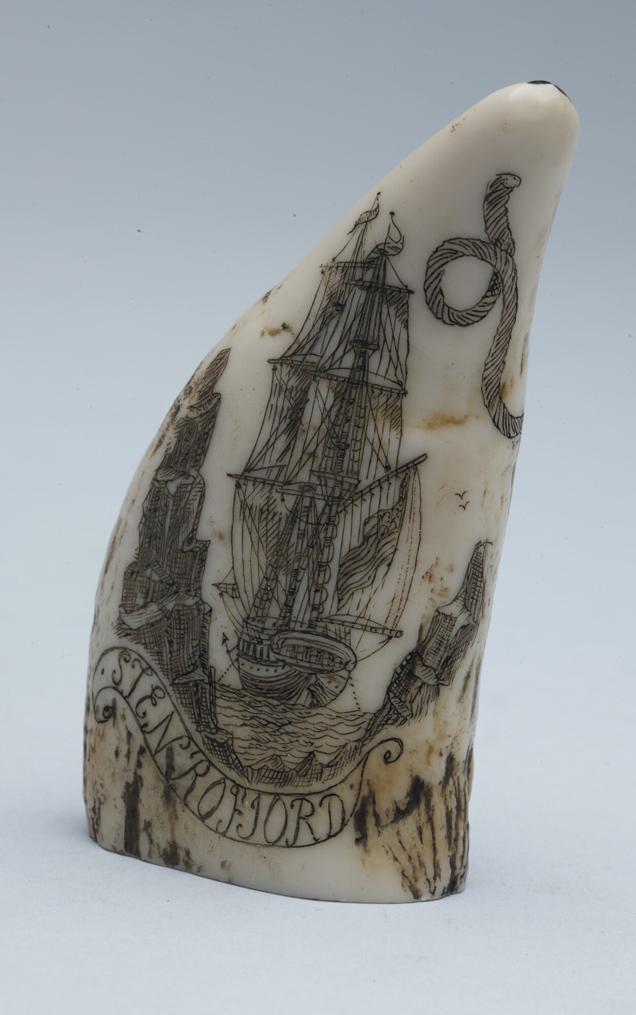 2019.0432; Potvistand met afbeelding (scrimshaw); scrimshaw