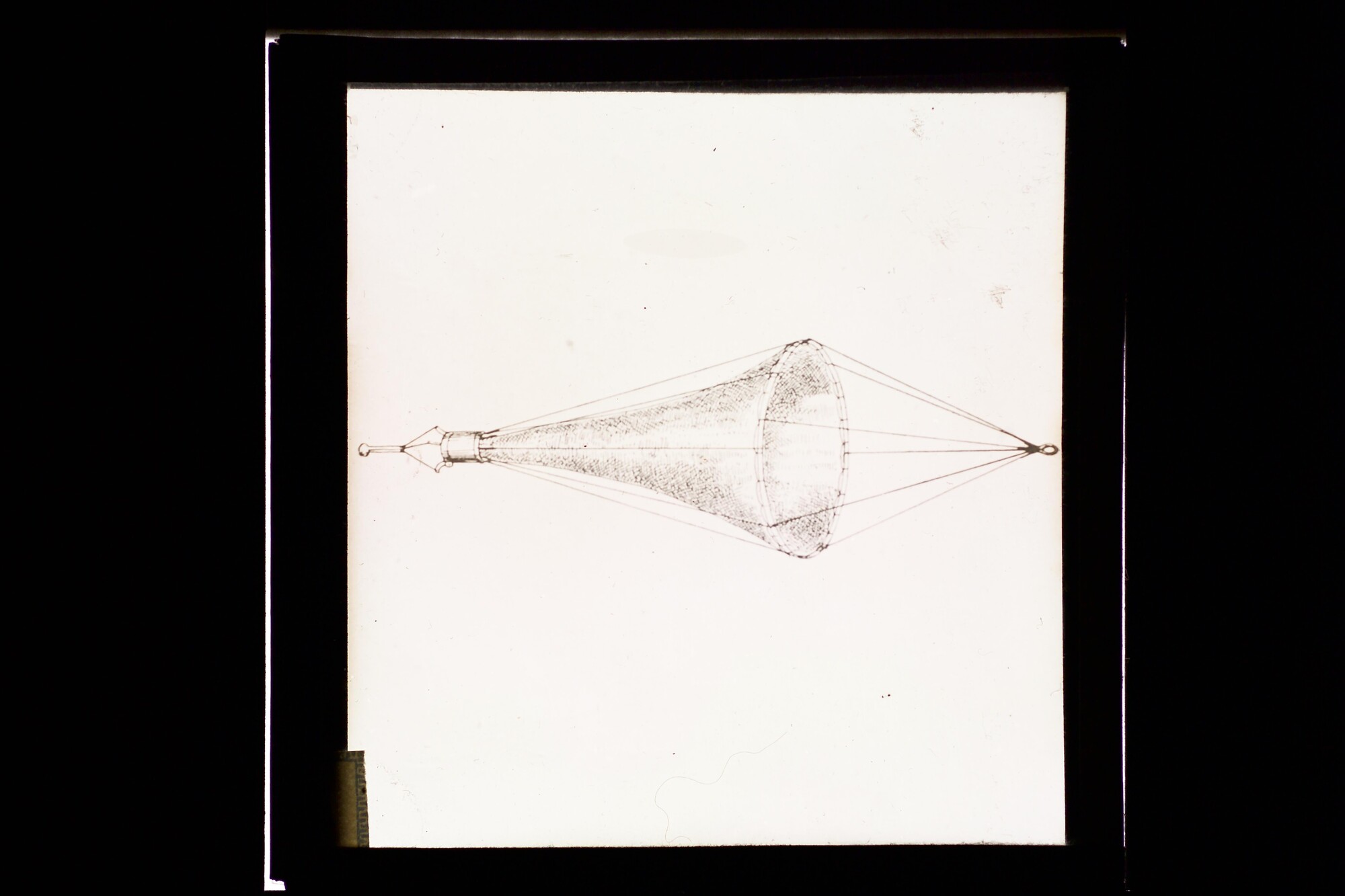 S.3319(276); Tekening van een diepzeekor; lantaarnplaatje