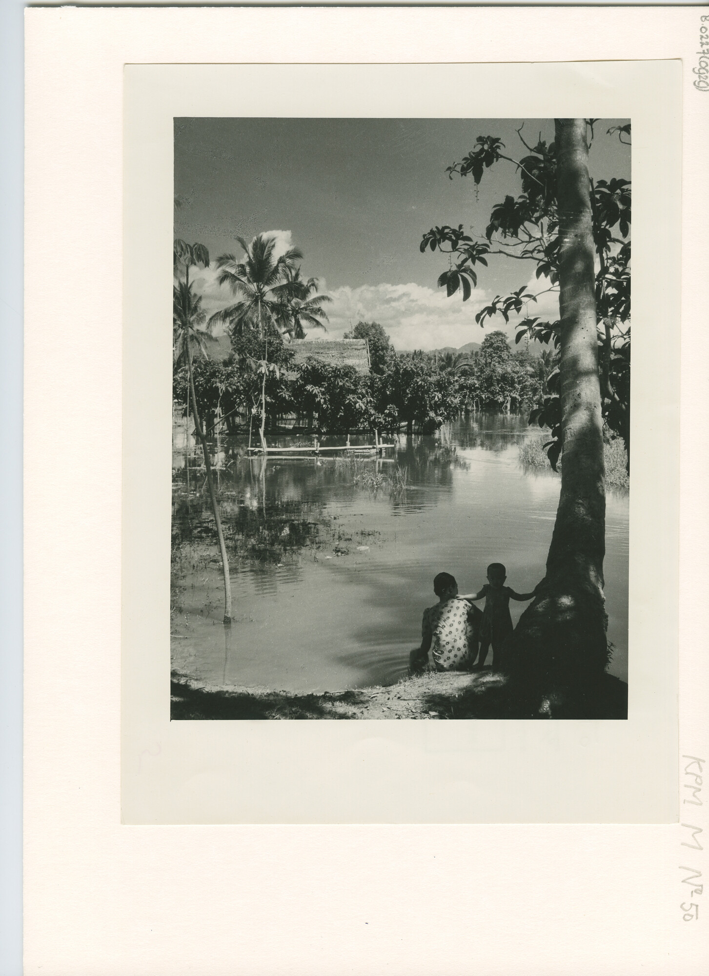 B.0227(0929); Gezicht op het meer van Limboto (nabij Gorontalo, Noord Celebes); foto