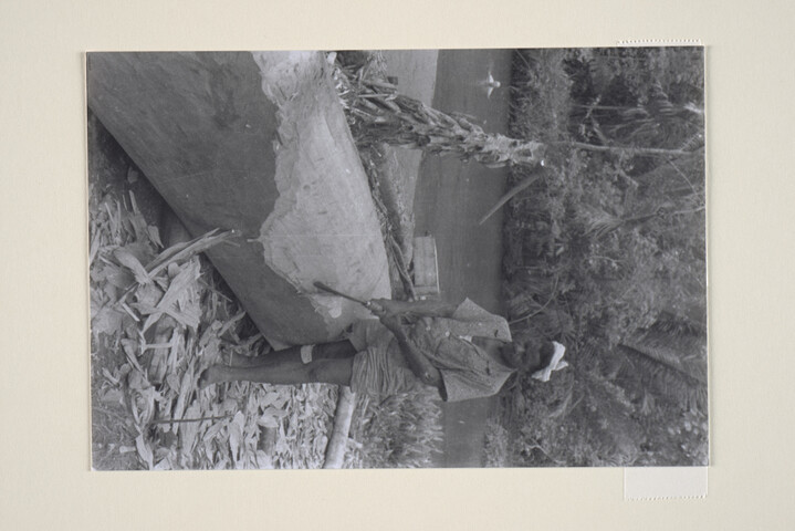 1994.6420; Fotos van een (bosbouw) expeditie in het oerwoud van Suriname in opdracht van de papierfabriek Van Gelder; fotoreportage