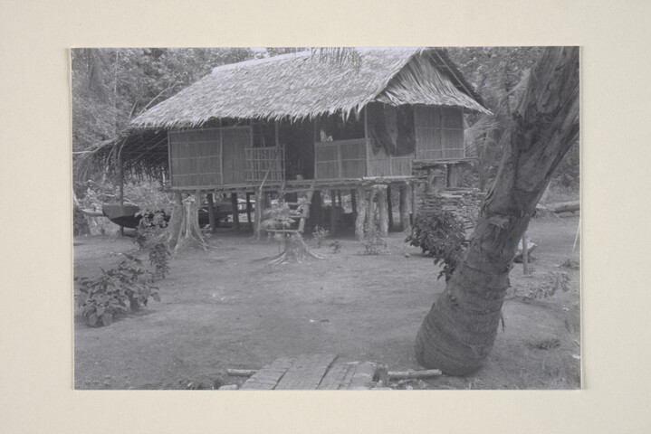 1994.6420; Fotos van een (bosbouw) expeditie in het oerwoud van Suriname in opdracht van de papierfabriek Van Gelder; fotoreportage