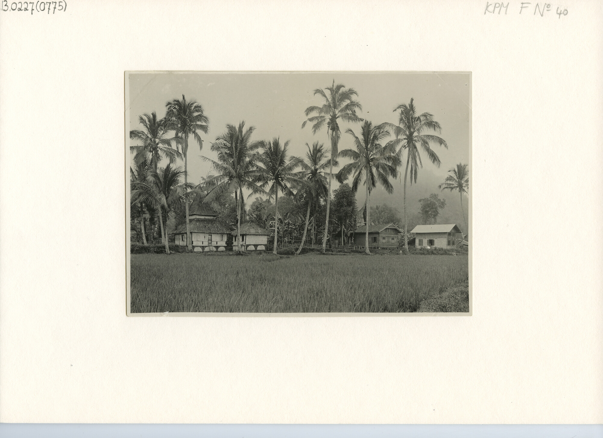 B.0227(0775); Kampong bij Fort de Kock (bij het tegenwoordige Bukittingi) op Sumatra; foto