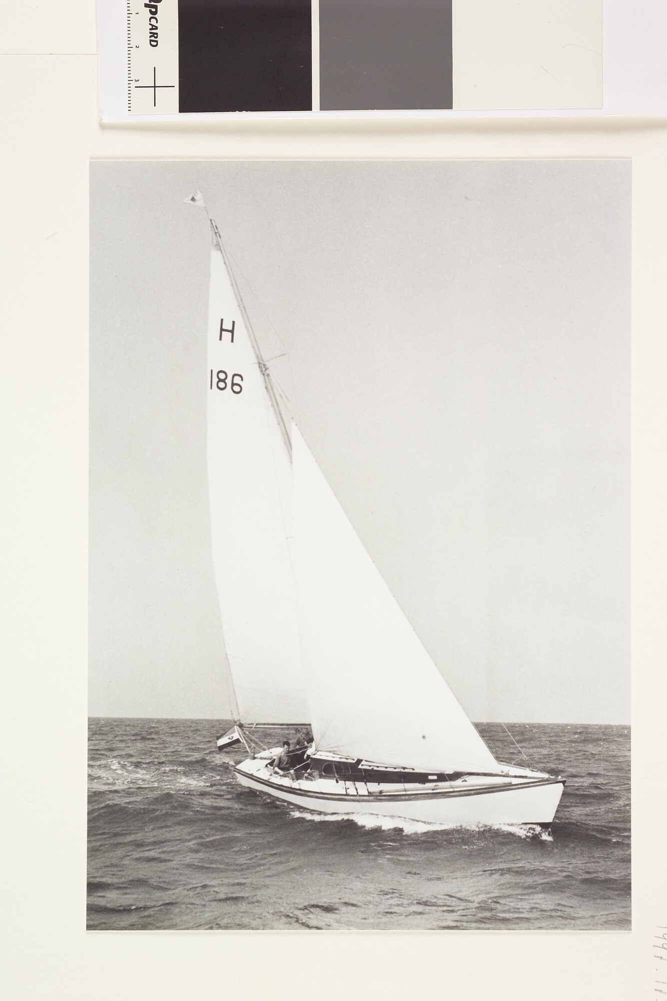 1997.1756; Het zeiljacht 'Zeevalk' (H 186) van Cees Bruynzeel; foto