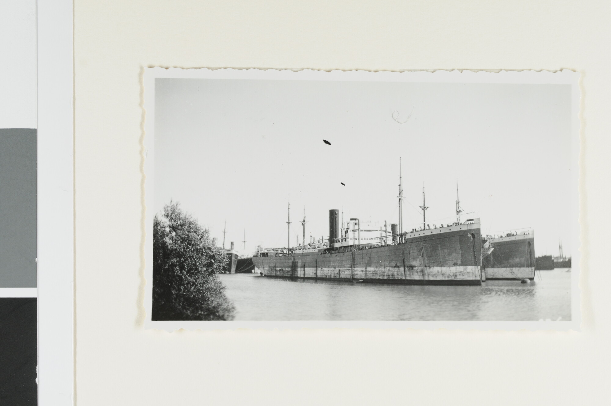 S.4380(04)428; De vrachtschepen ss. 'Buitenzorg' en ms. 'Djambi' afgemeerd te Amsterdam; foto