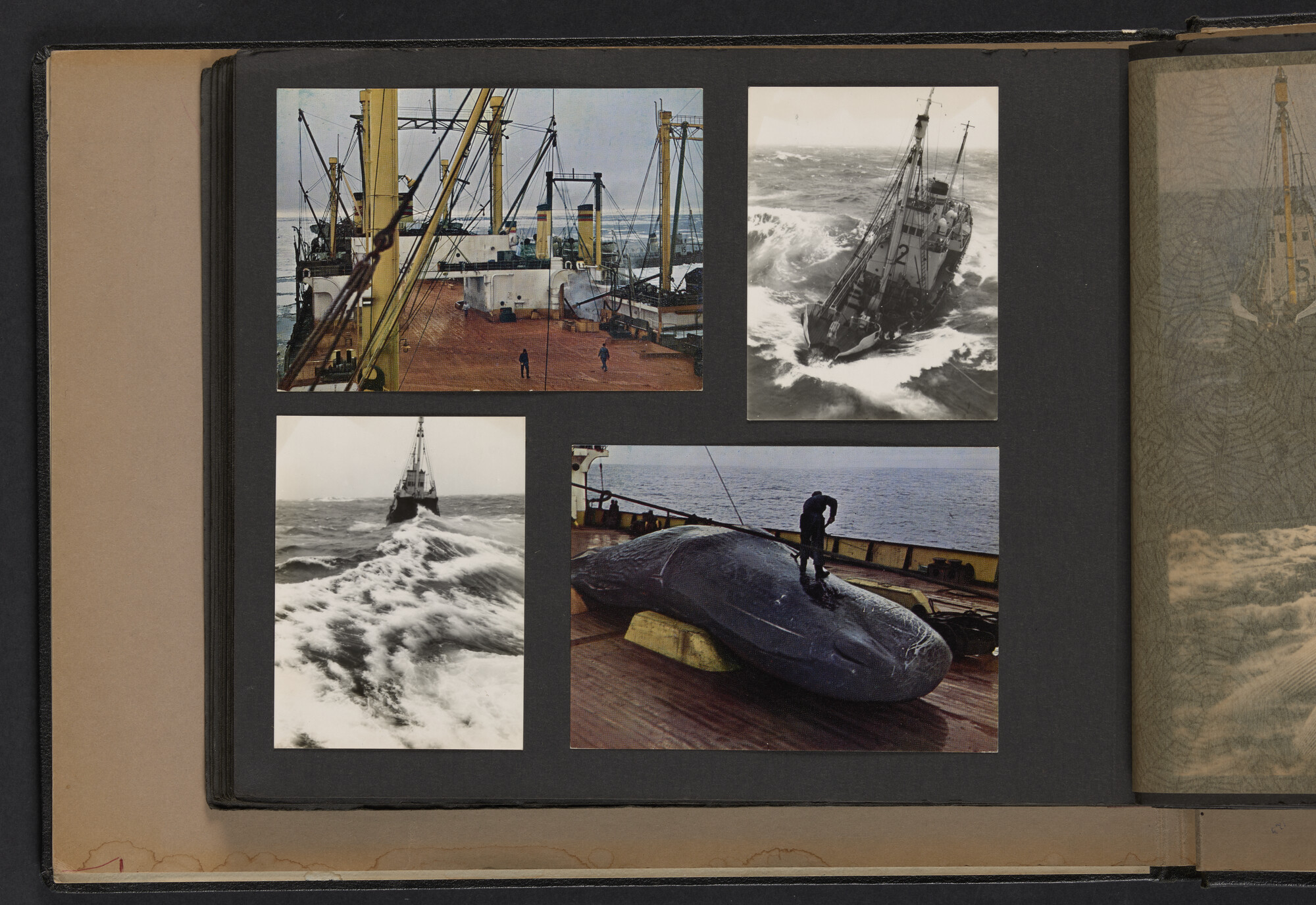 2021.0010; Fotoalbum van Joost Ossewaarde, radiotelegrafist, van reizen op diverse schepen van 1953 t/m 1958; fotoalbum