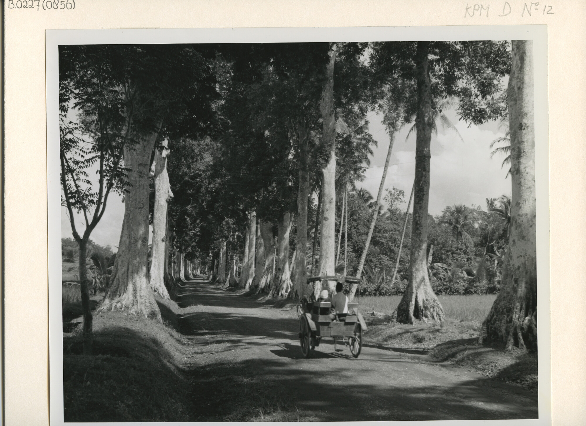 B.0227(0856); De weg naar Boroboedoer (Midden-Java); foto