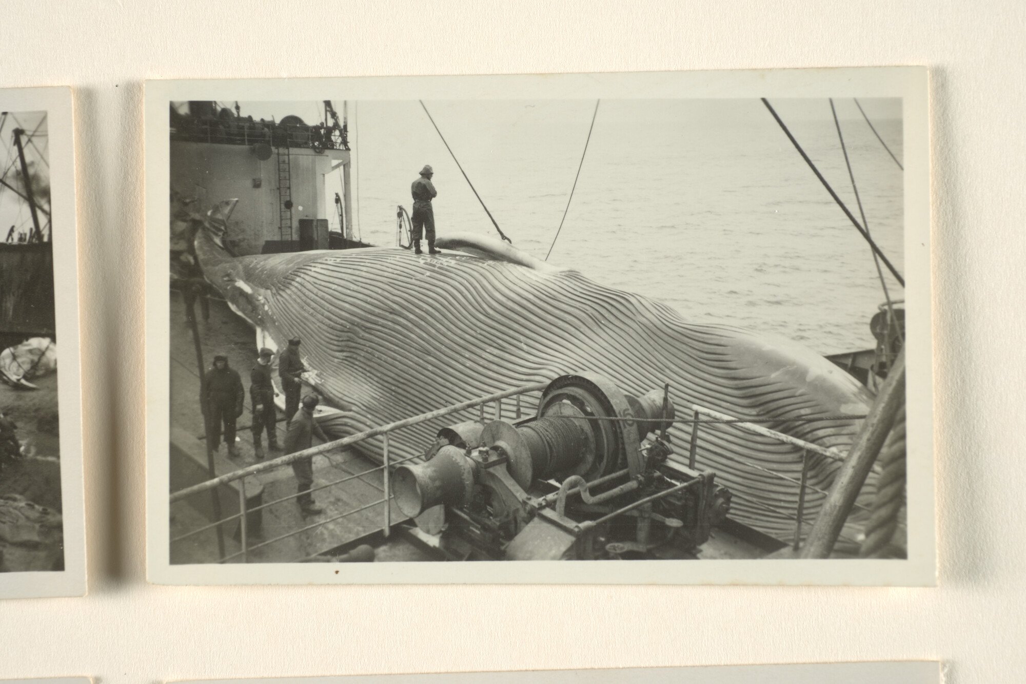 1996.0580; Fotoimpressies van de walvisverwerking en leven aan boord van het walvismoederschip ms. Willem Barendsz (I); fotoreportage