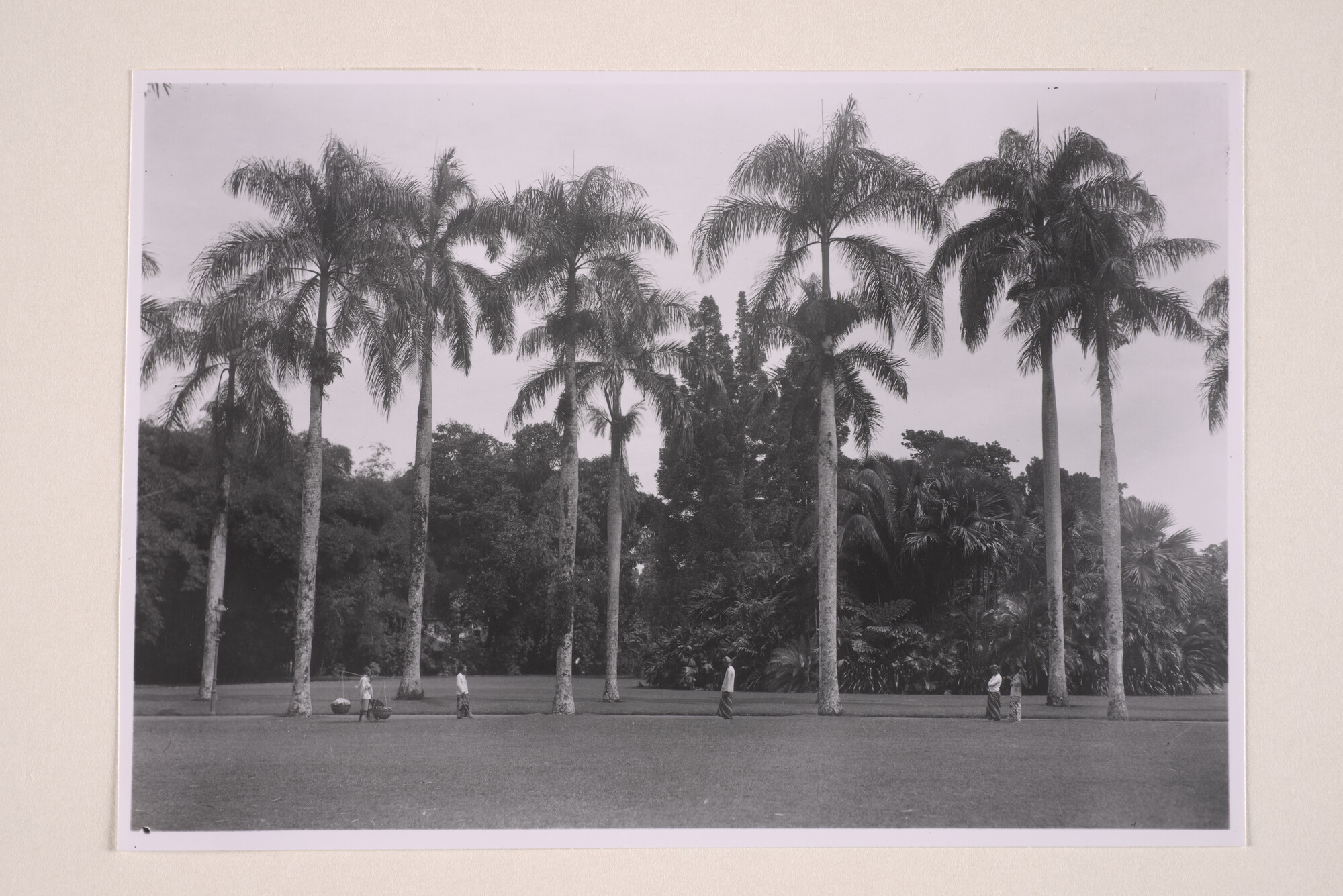 1994.5830; Foto's gemaakt in 's Lands Plantentuin te Buitenzorg; fotoreportage