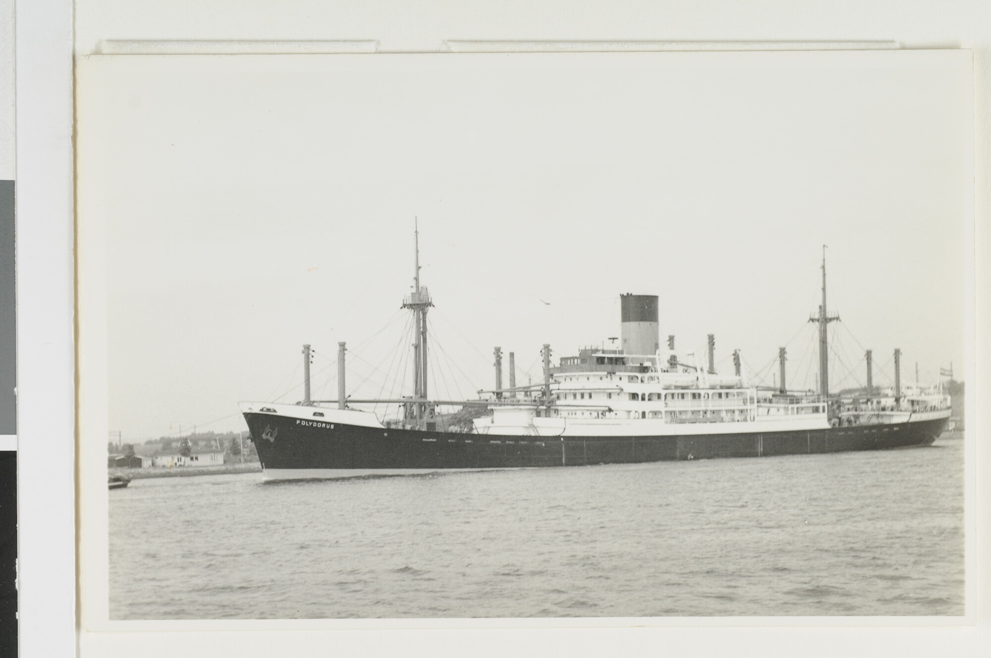 1993.0592; Het vrachtschip ms. Polydorus (ex- Alcinous) van de Nederlandsche Stoomvaart Maatschappij "Oceaan"; foto