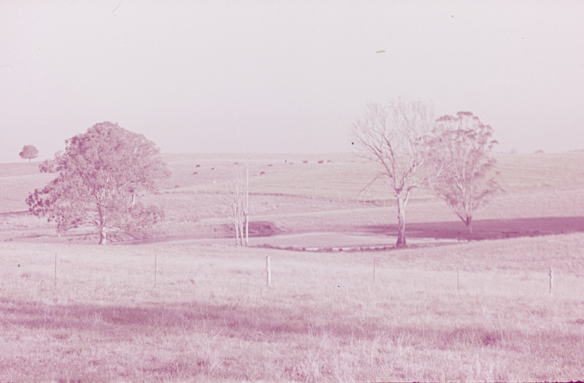 2015.1042; Dia van een landschap in de Blue Mountains; diapositief