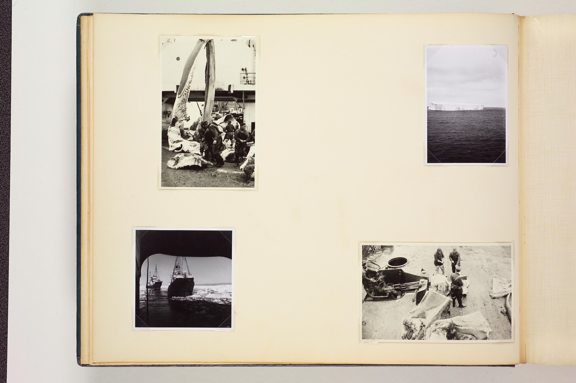 1990.0579; Tweede album met foto's van het walvismoederschip ms. Willem Barendsz (I); fotoalbum