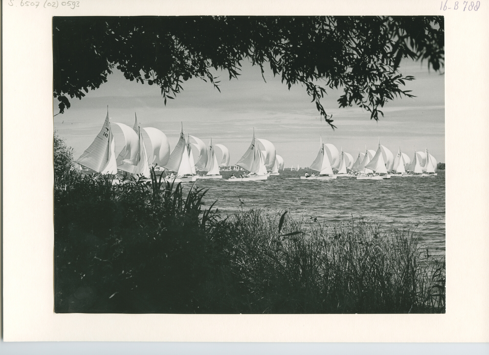 S.6507(02)0593.03; Zwart-wit foto van de Kaagweek 1952: de Valkenklasse voor de wind; foto