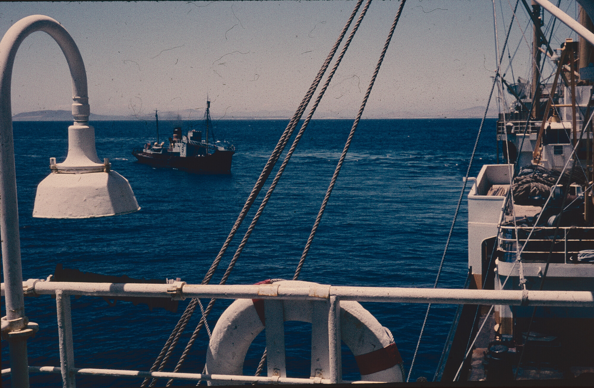 2024.4135; Kleurendia gemaakt door dr. Hans de Jong, assistent-scheepsarts a/b walvisvaarder Willem Barendsz in het walvisvaartseizoen 1960-1961; diapositief