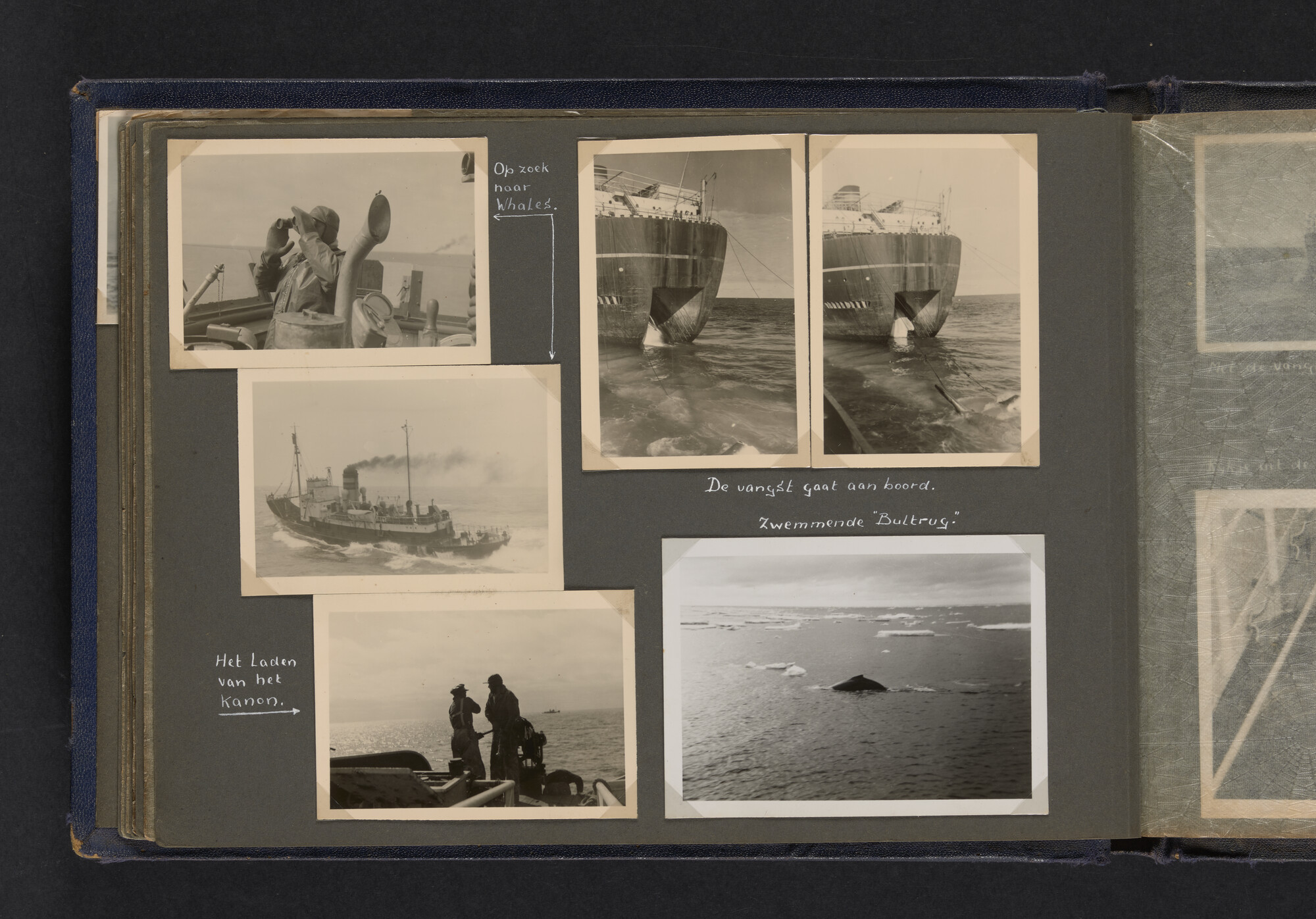 2021.0009; Fotoalbum van Joost Ossewaarde, 4e radiotelegrafist op walvismoederschip Willem Barendsz (II) en walvisjagers, met foto's van vangstseizoenen 1955-1956 en 1956-1957.; fotoalbum