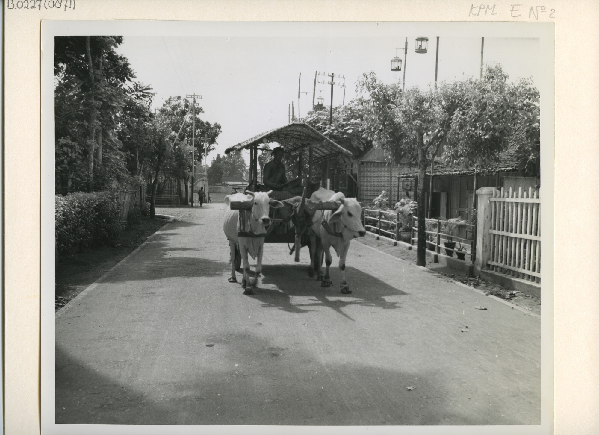 B.0227(0871); Straatgezicht in (D)jokjakarta (Yogyakarta): ossewagen; foto