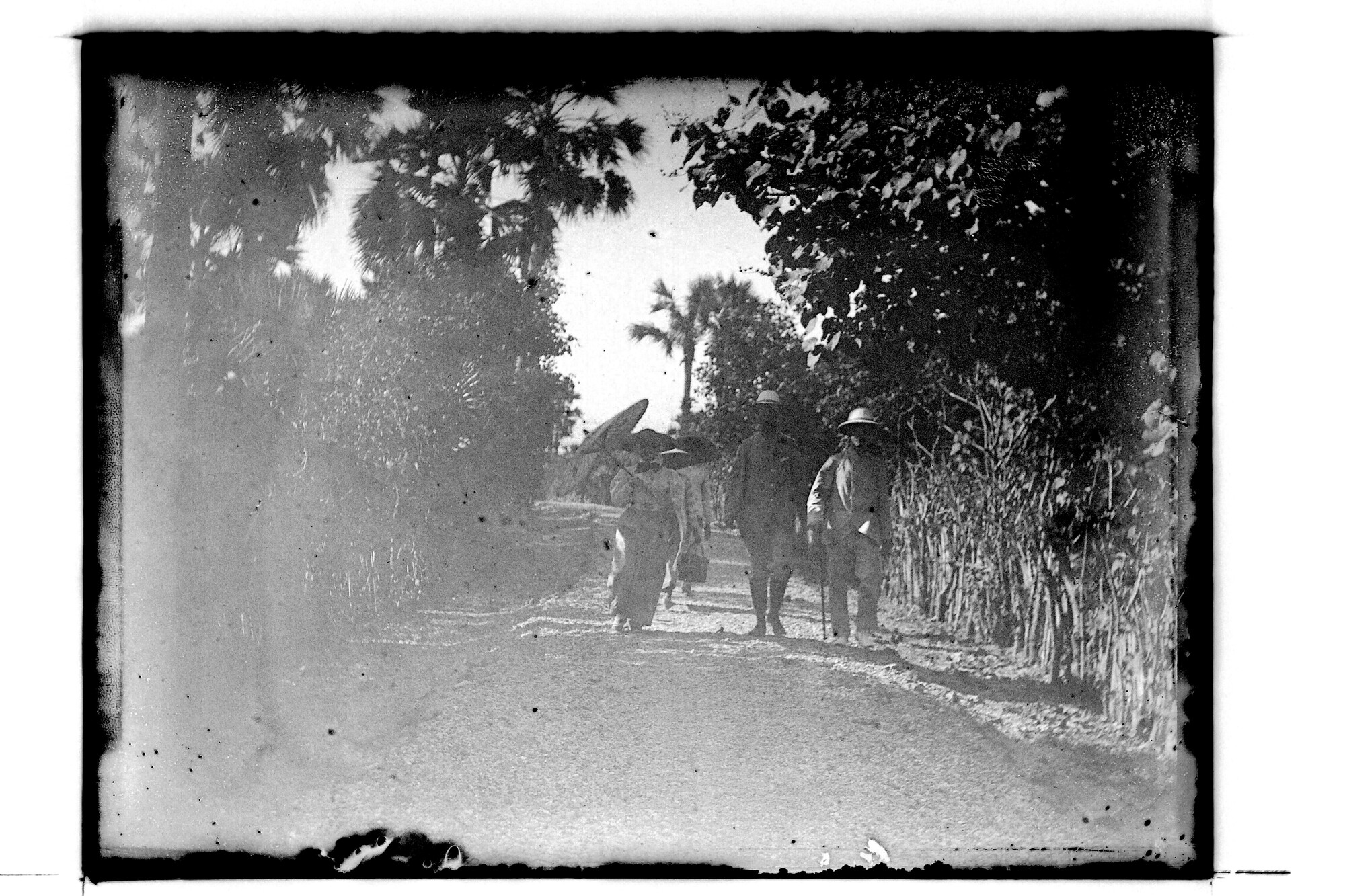 S.3319(126)a; Prof Max Weber en Anna Weber, wandelend op Sawoe (Zuid Timor); negatief
