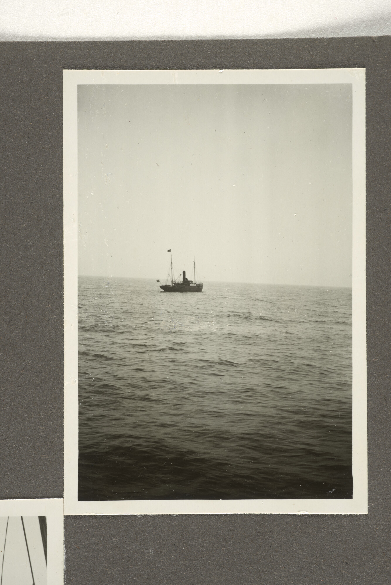 1996.4650; Bladen uit een album met foto's van het vertrek uit Amsterdam en verwerken van potvissen a/b ms. Willem Barendsz; foto