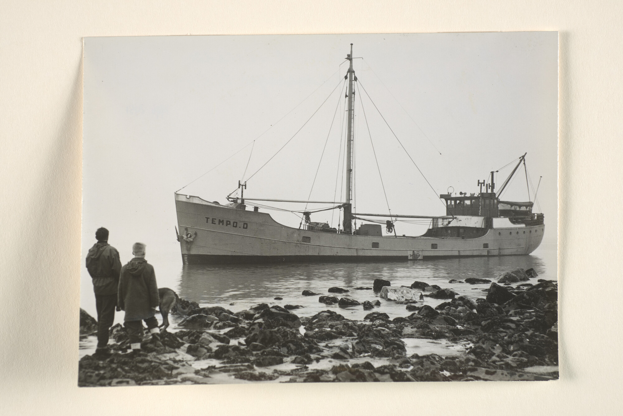 1996.2451; De coaster ms. Tempo D van H. Dijken uit Groningen [gebouwd in 1936 bij de [...]; foto