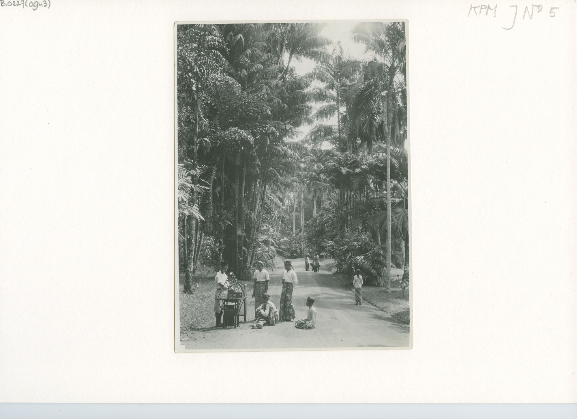 B.0227(0943); Een limonadeverkoper (vermoedelijk) in 's Lands Plantentuin te Buitenzorg; foto