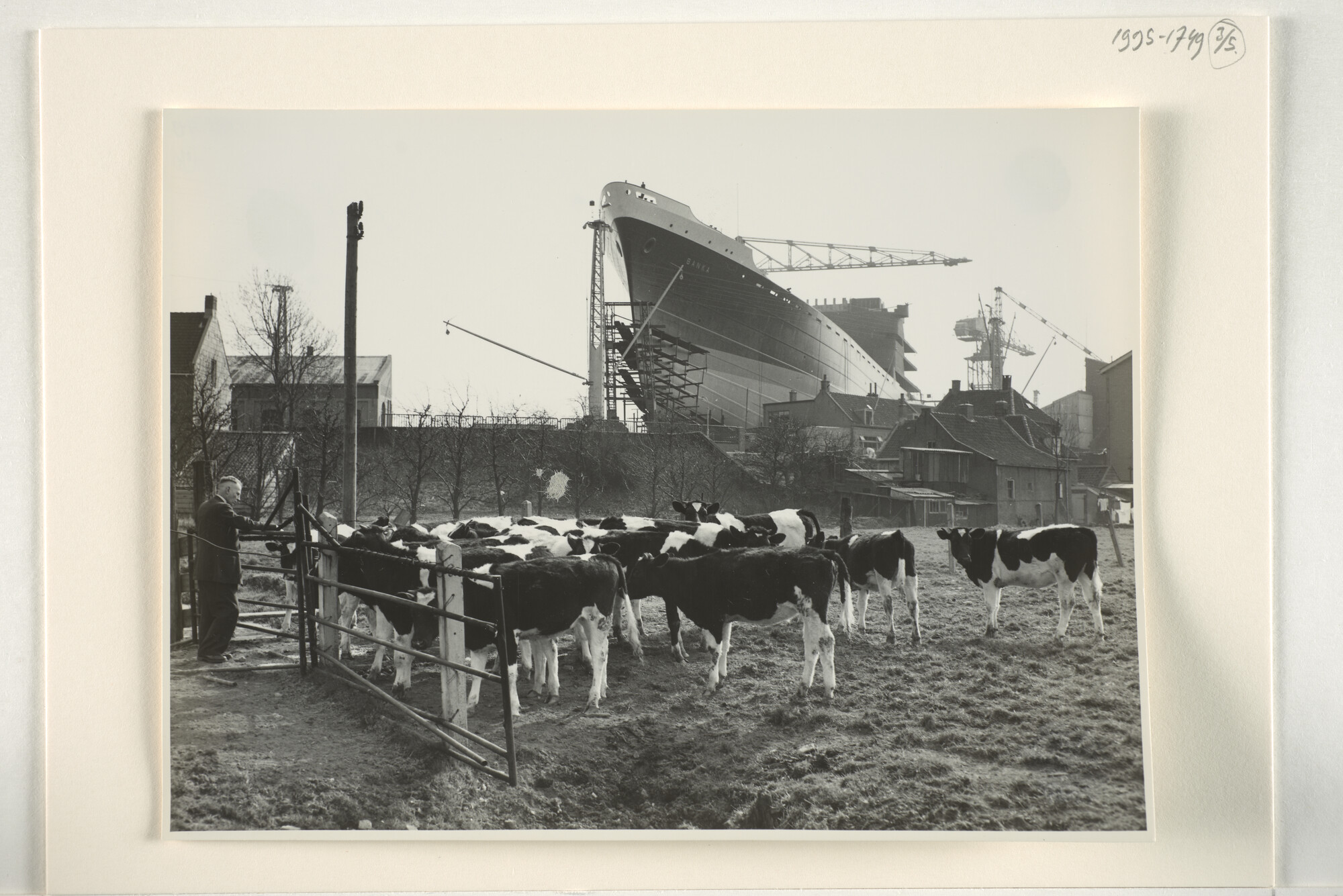 1995.1749; Foto's van het vrachtschip ms. 'Banka' van de SMN vlak voor en tijdens de tewaterlating bij de werf van A. Vuijk & Zn; fotoreportage