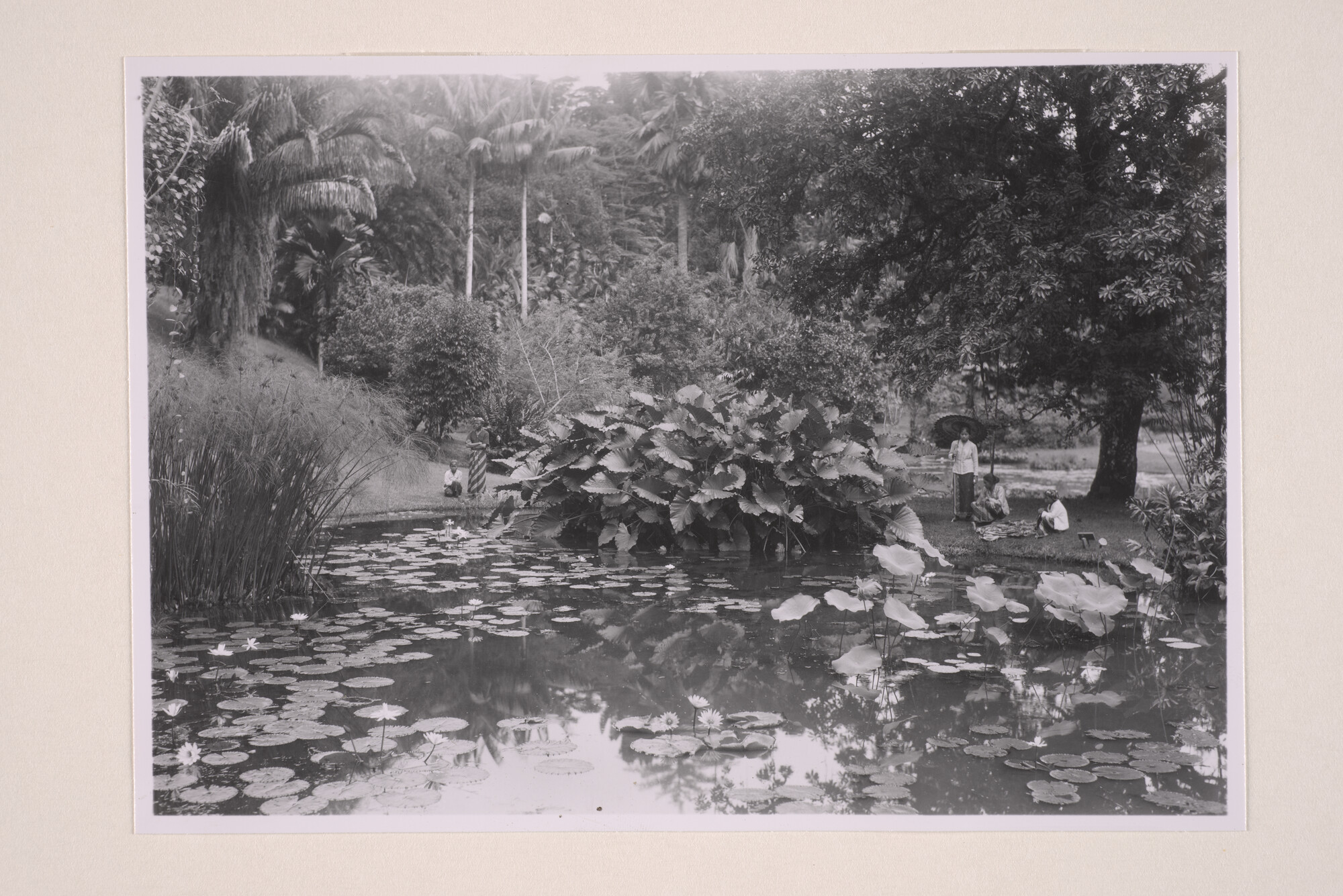 1994.5830; Foto's gemaakt in 's Lands Plantentuin te Buitenzorg; fotoreportage