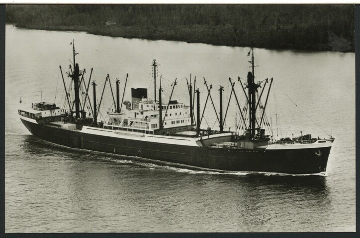 1993.6202; Het vrachtschip ms. 'Bali' van de Nedlloyd Lijnen; prentbriefkaart