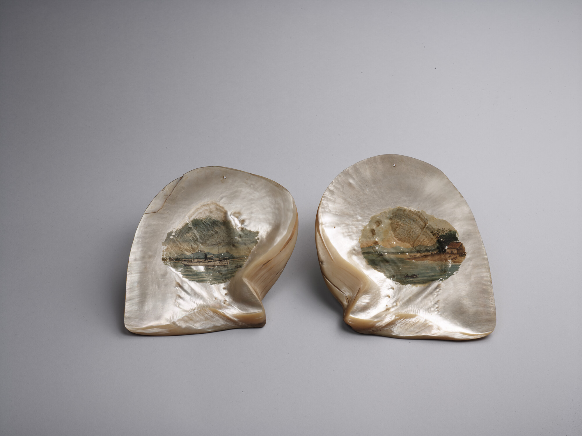 2016.0441; Schelp met een afbeelding in olieverf van de Siboga op zee; schelp (dierlijk materiaal)