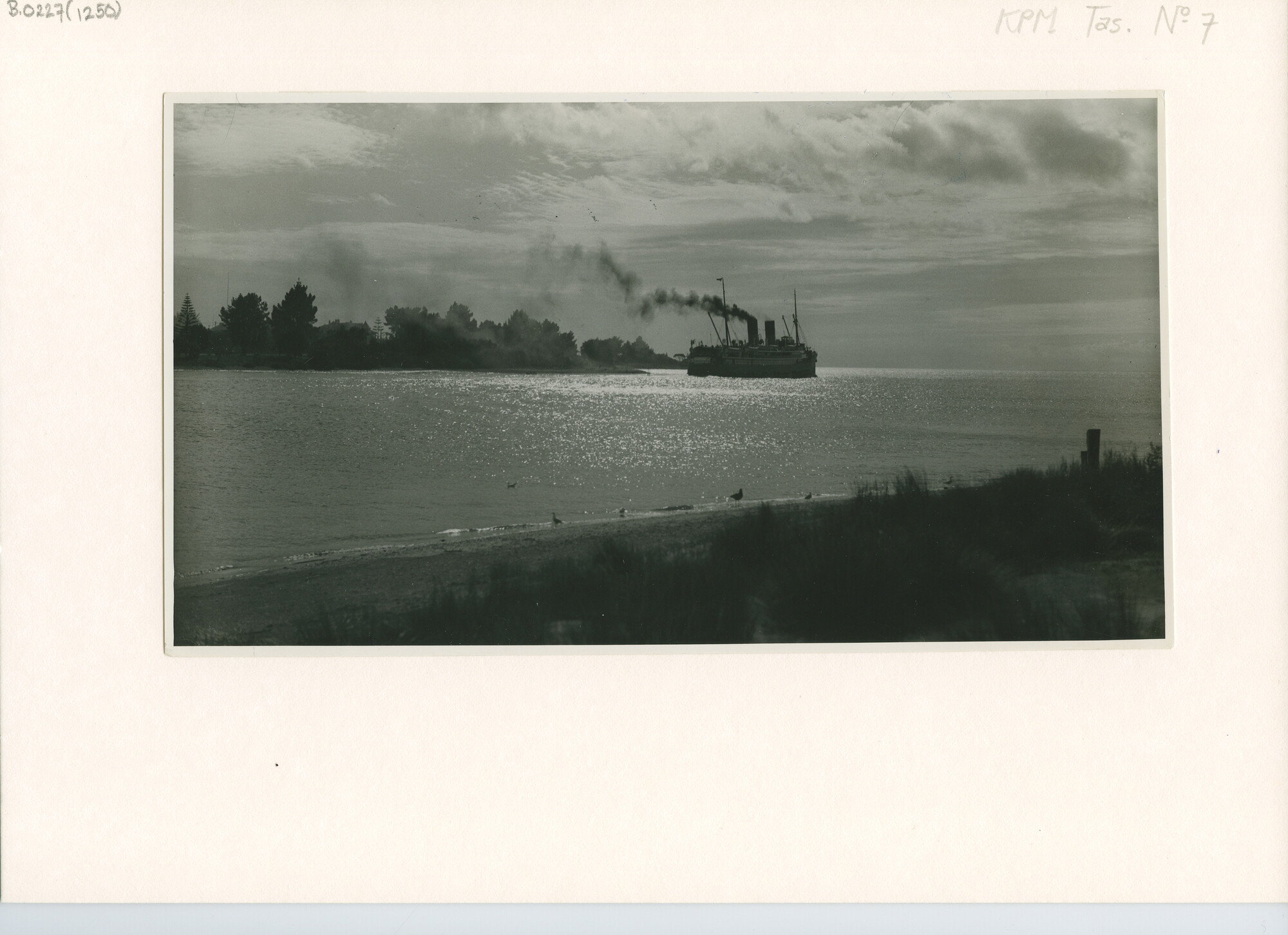 B.0227(1250); Een avondlijke afvaart van het passagiersschip ss. Nauana van Devonport [...]; foto