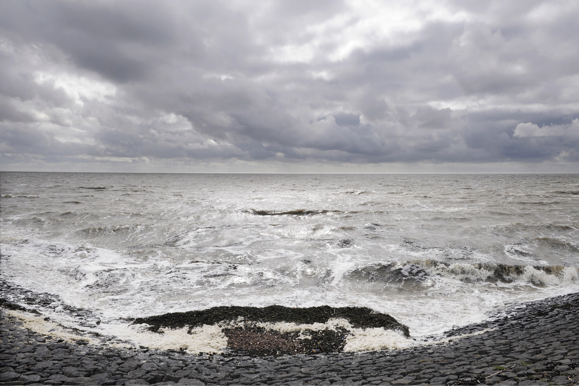 2019.0203; Kleurenfoto van een zeewering van basaltblokken aan de Waddenkust van Friesland, 2009; foto