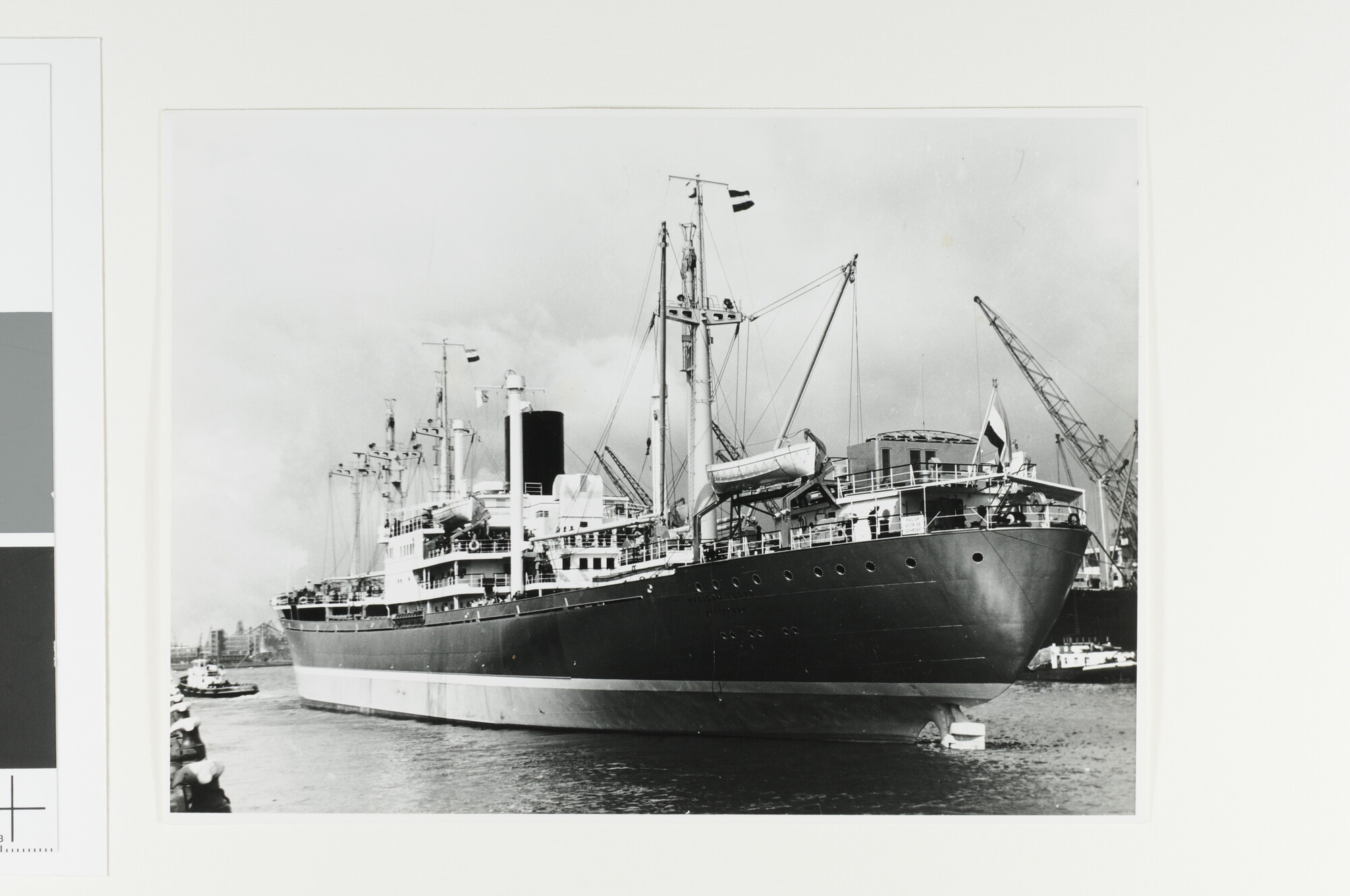 A.4426(24); Het vrachtschip ms. 'Madison Lloyd' van de Koninklijke Rotterdamsche Lloyd (Achteraanzicht); foto