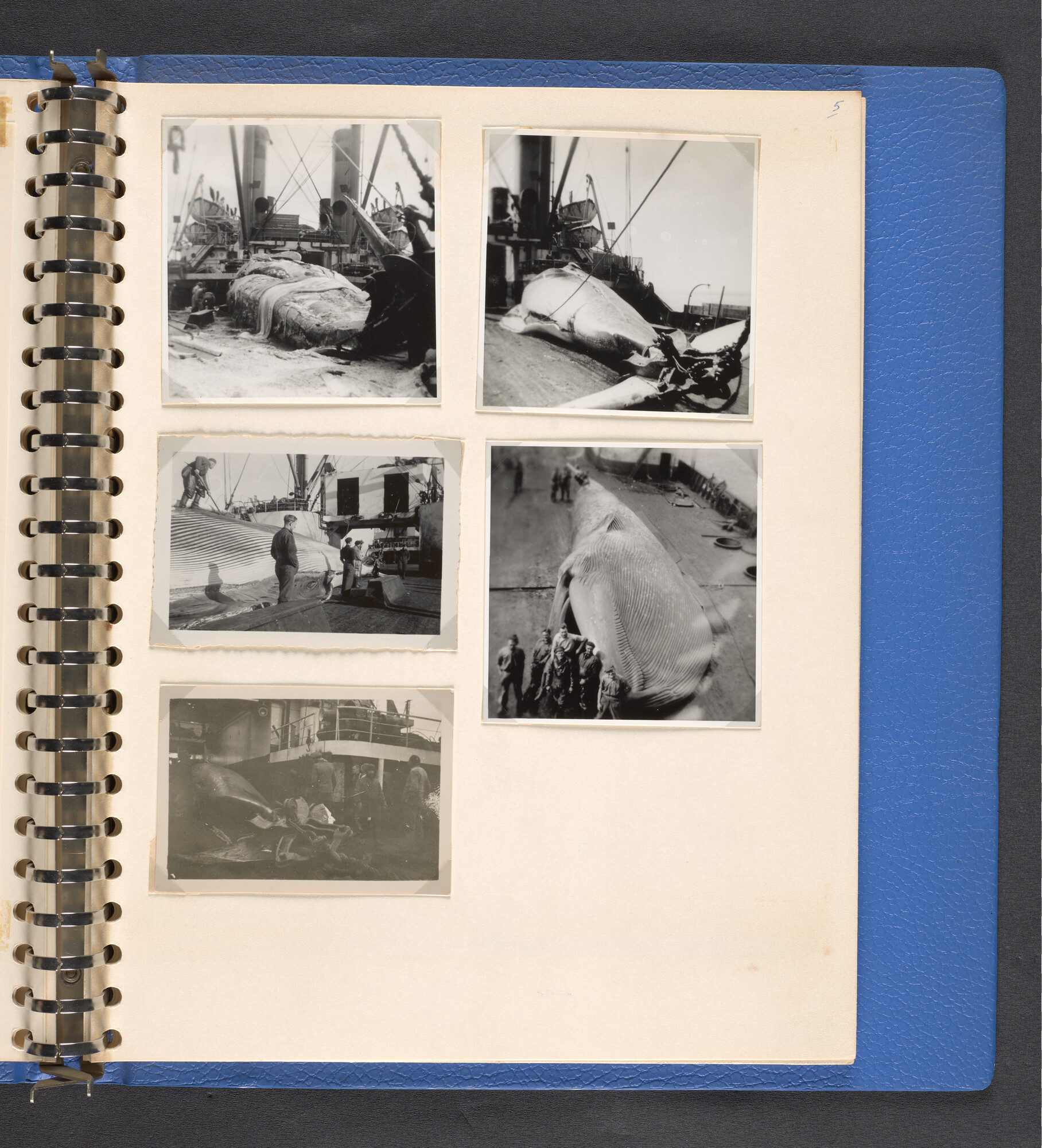 2022.1516; Multomap met foto's gemaakt tijdens reizen van walvisfabrieksschip Willem Barendsz (I), seizoenen 1947-'48 t/m 1950-'51; fotoalbum