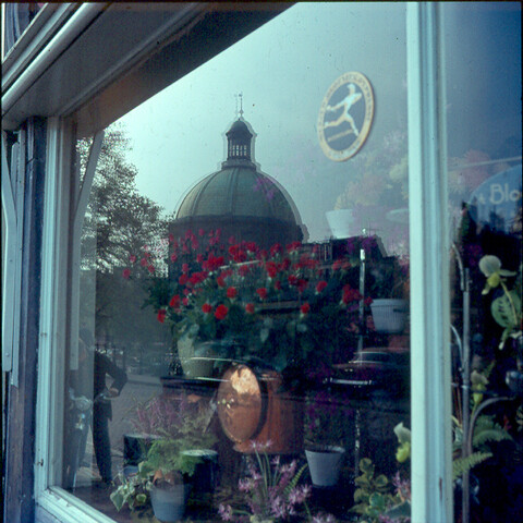 S.9100(0896); Etalage van bloemenwinkel aan het Singel te Amsterdam; diapositief