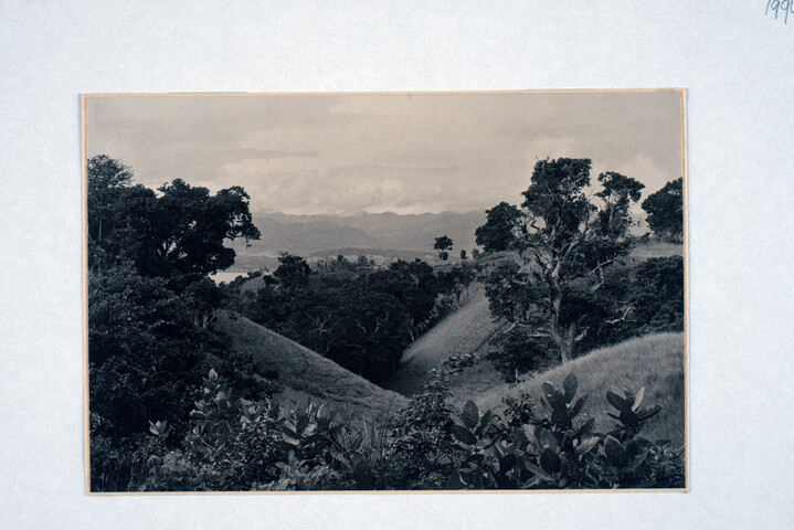 1994.5815; Gezicht op de Donggala en omgeving (West Celebes); foto