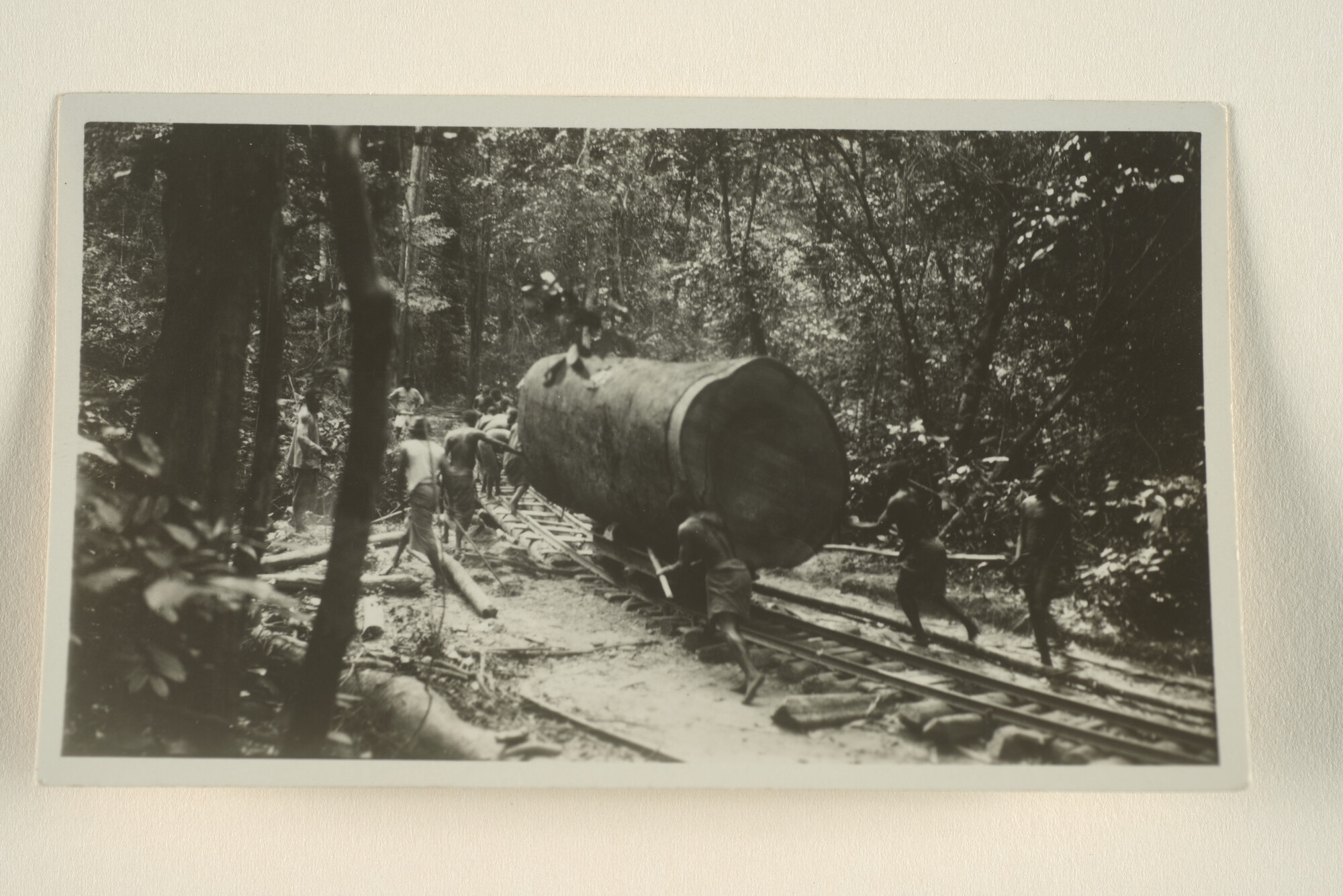 1996.0517; Vervoer van tropisch hout door het oerwoud; foto