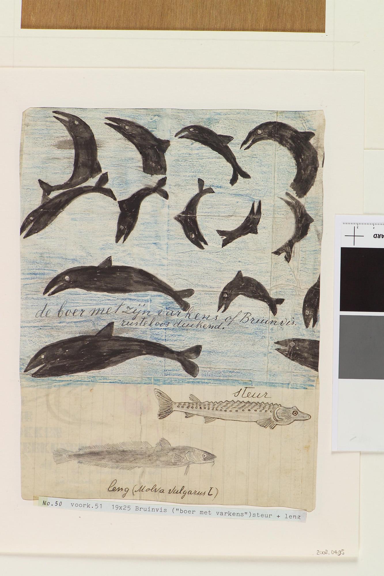 2008.0495; Tekening van een potvis en een walvis, en op de andere zijde bruinvissen, een steur en een leng; tekening