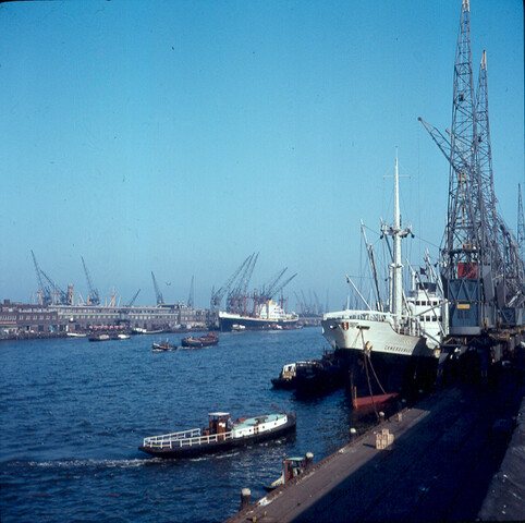 S.9100(1759); Dia van het vrachtschip ms. Camerounkust van de Holland West Afrika Lijn (SMN) [...]; diapositief