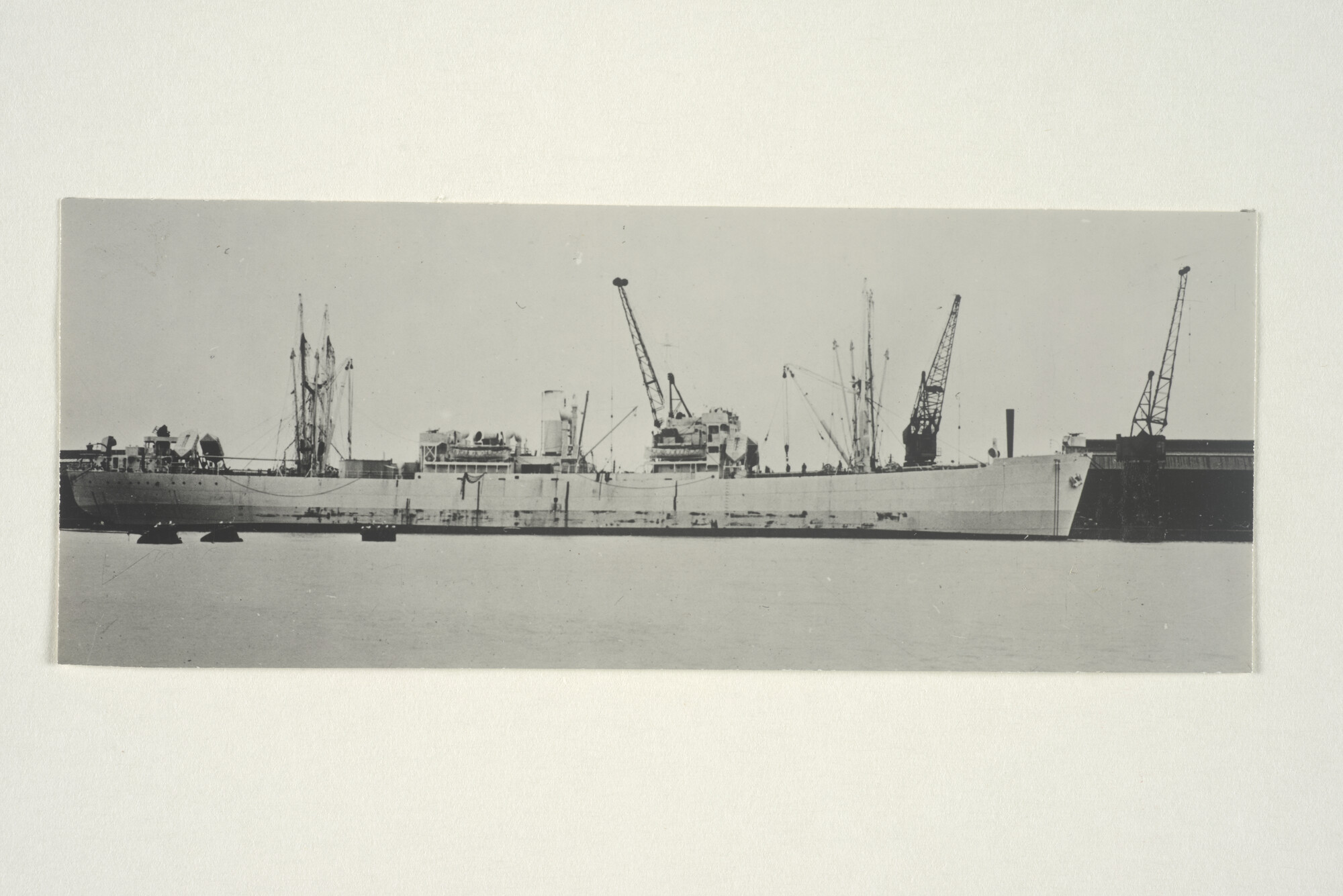 2000.3298; Het vrachtschip ss. Frans van Mieris (ex- Empire Iseult) eigendom van de Staat der Nederlanden en in beheer van de Rotterdamsche Lloyd[...]; foto