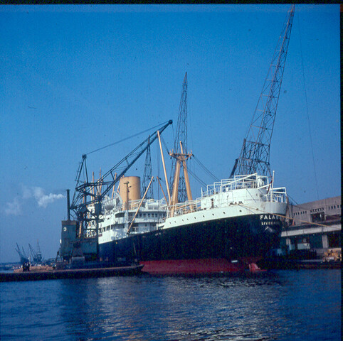 S.9100(0673); Het Britse vrachtschip ms. 'Falaba' van de Elder Dempster Lines; diapositief
