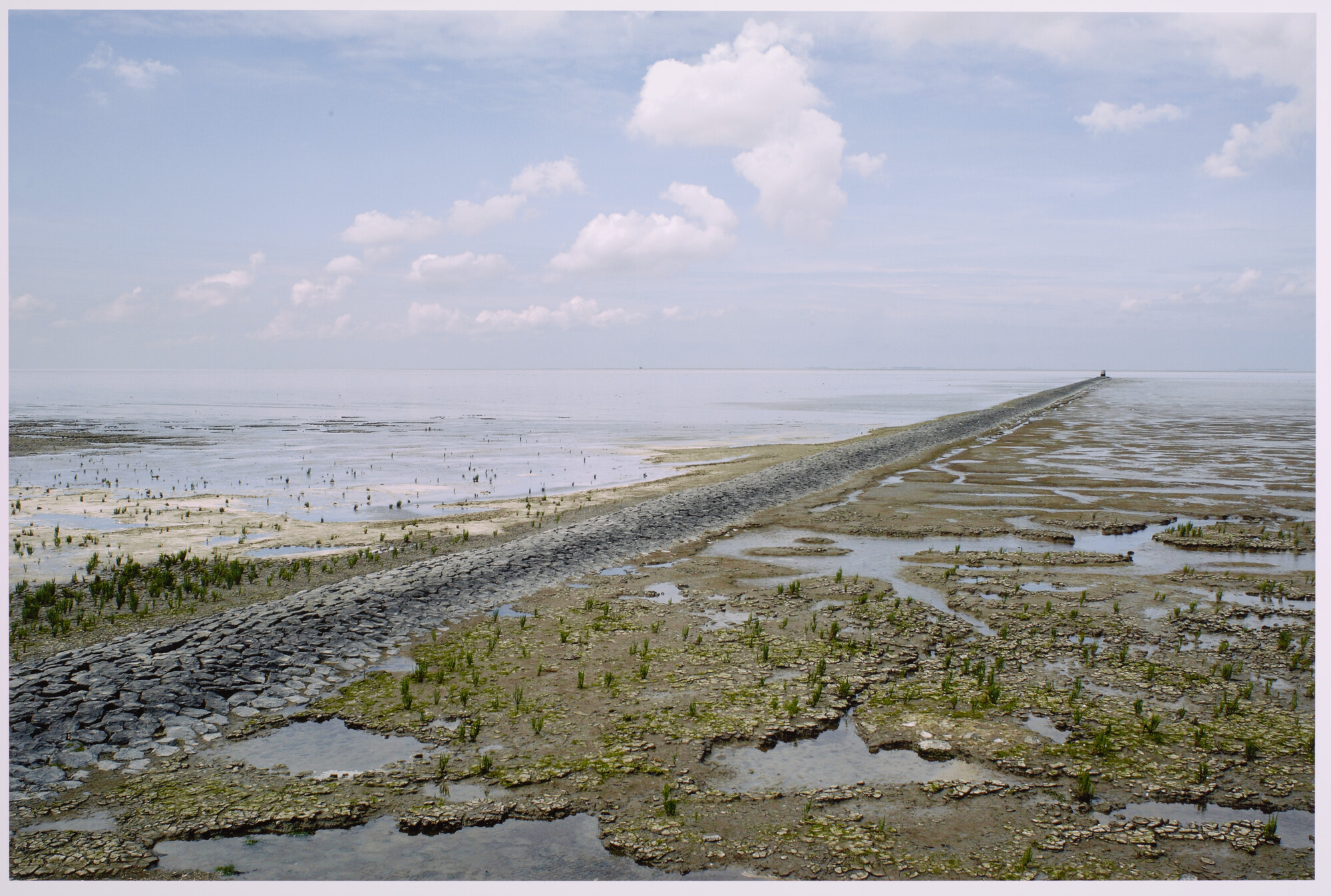 2013.0690; Kleurenfoto van een strekdam bij Westhoek, Friesland, 2007; foto