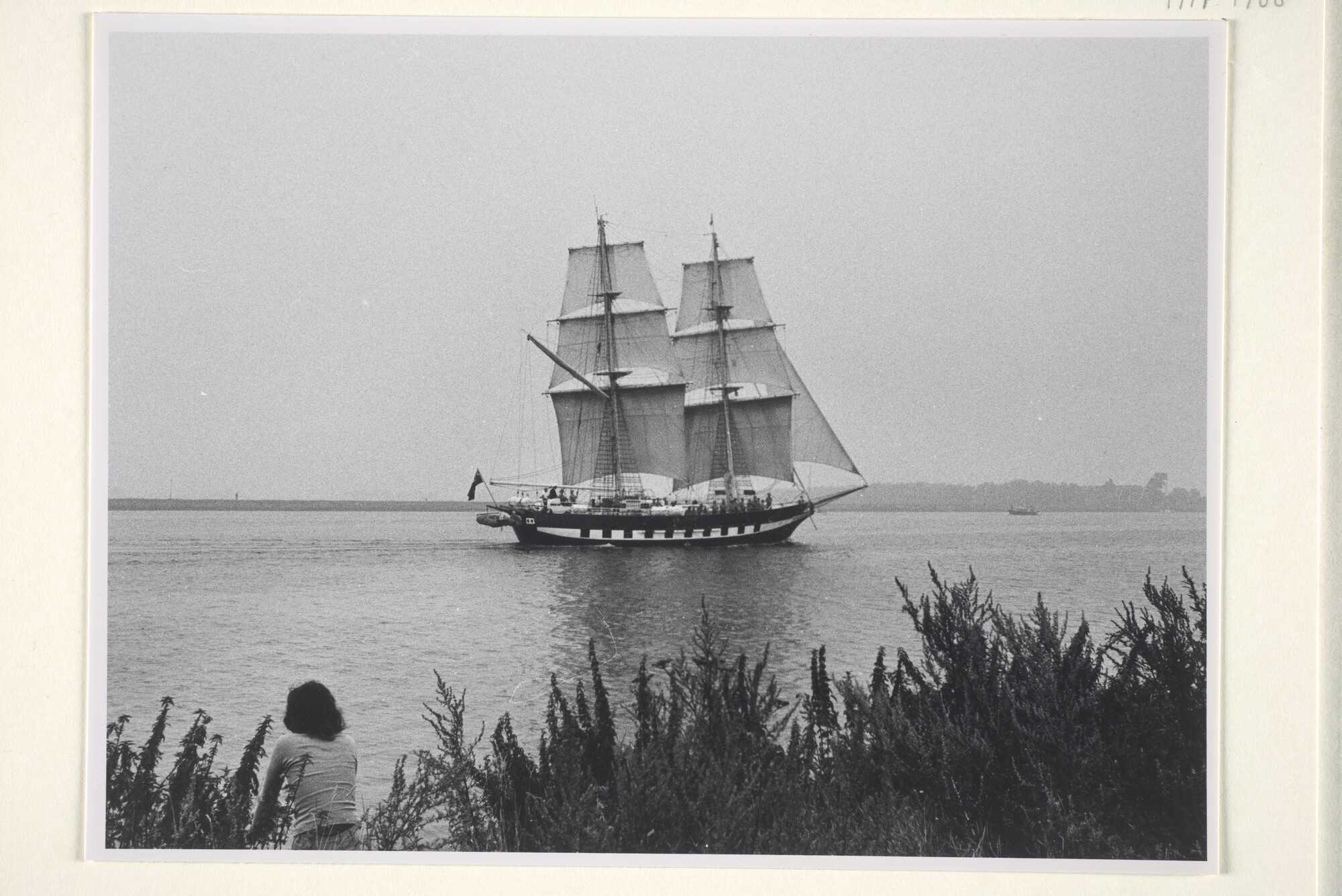 1997.1988; De Britse 2-mast brik Royalist onder zeil op het Noordzeekanaal ter [...]; foto