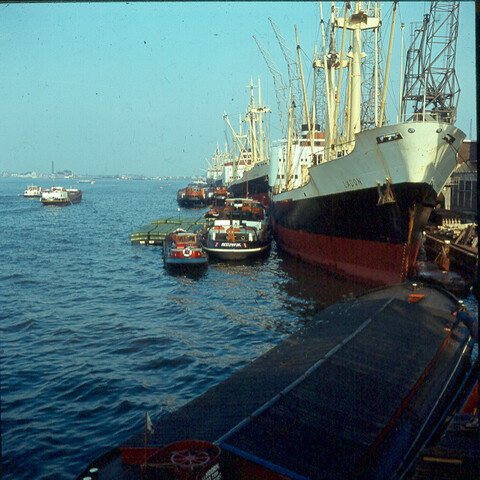 S.9100(0909); Het vrachtschip ms. 'Ladon' van de KNSM; diapositief