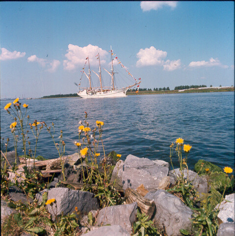 S.9100(7718); Sail Amsterdam 1975; diapositief