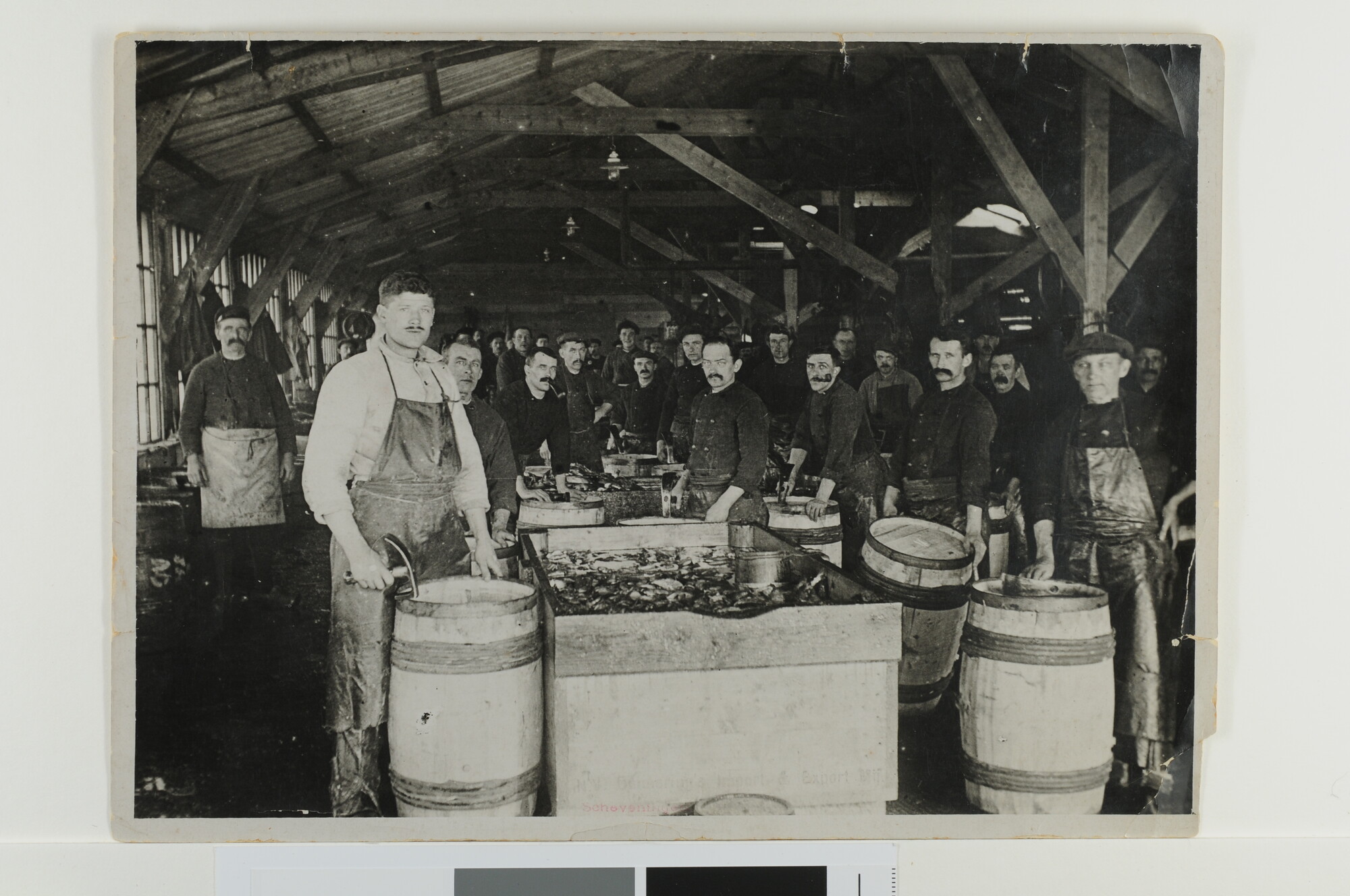 S.5512(04); Groepsportret van de arbeiders werkend bij de haringpakkerij van F.R. Ommering in de voormalige visafslag van Vlaardingen [...]; foto