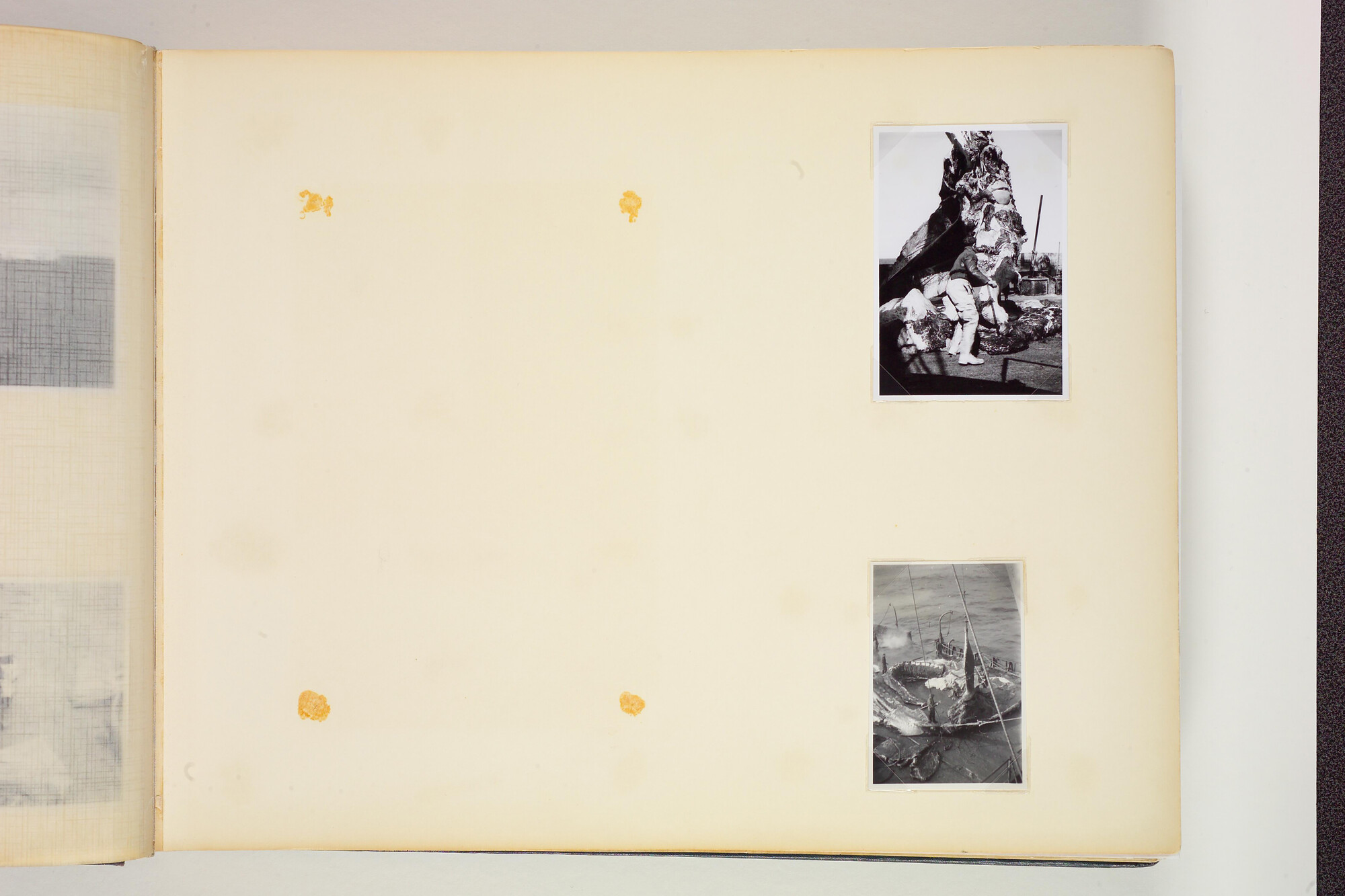 1990.0579; Tweede album met foto's van het walvismoederschip ms. Willem Barendsz (I); fotoalbum